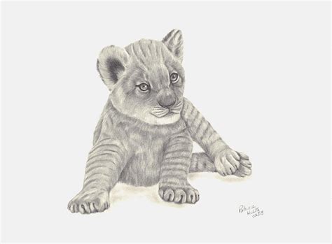 With the videos of animal drawings , children will learn to recognize and identify animals. Baby Lion Drawing by Patricia Hiltz
