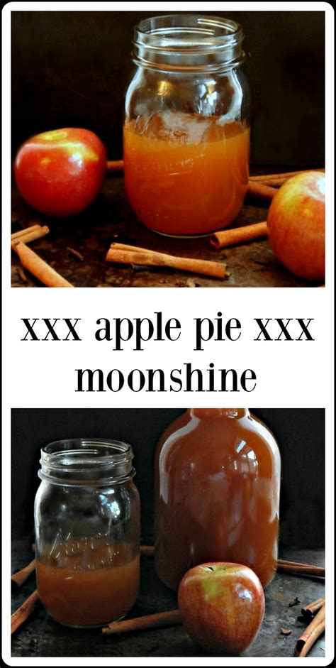 There are many things i love about the winter and holiday season. Apple Pie Moonshine - Frugal Hausfrau