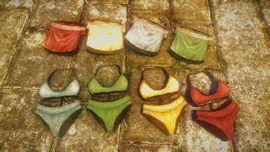 Equippable Underwear For NPCs At Skyrim Special Edition Nexus Mods