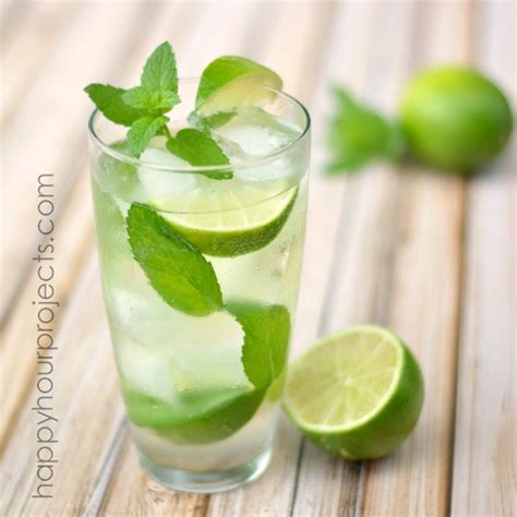 Classic Mint Mojito Happy Hour Projects