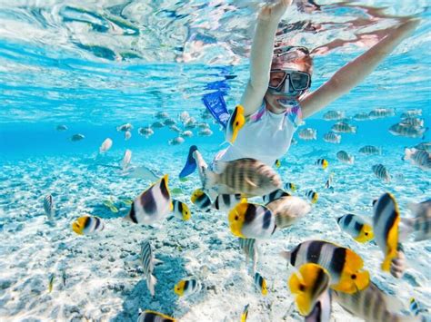 The Best Snorkeling In The Bahamas Includes Nassau And Freeport