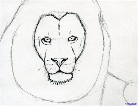 How To Draw A Lion Step By Step In Pencil At Drawing Tutorials