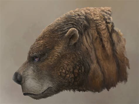 Short Faced Cave Bear Short Faced Bear Stone Age Animals Extinct