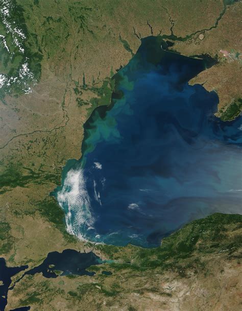 Phytoplankton Bloom In The Black Sea