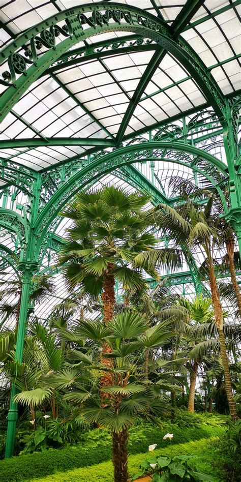 A Visit To The Great Royal Greenhouses Of Laeken Nourishing Grounds