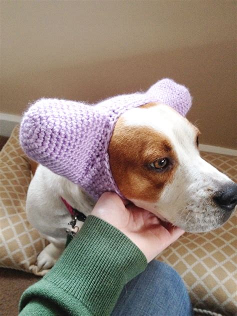 Crochet Dog Hat Dog Ear Warmers Ear Protector Cute Funny