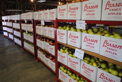 Control of pests in food processing requires the implementation of an integrated pest management program. BLOG / Top Pests to Look Out for in Food Manufacturing and ...