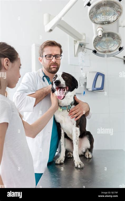 Girl And Veterinary Doctor Looking At Dog On Table In Clinic Stock