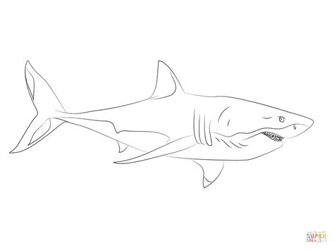 Great White Shark 3 coloring page Free Printable Coloring Pages