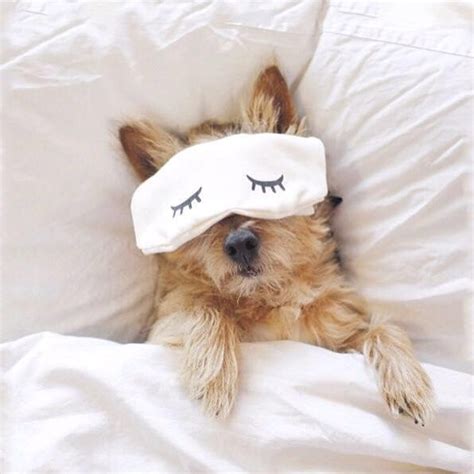 TOY Nail polish ® OFFICIAL on Instagram: “Nap, eat, REPEAT
