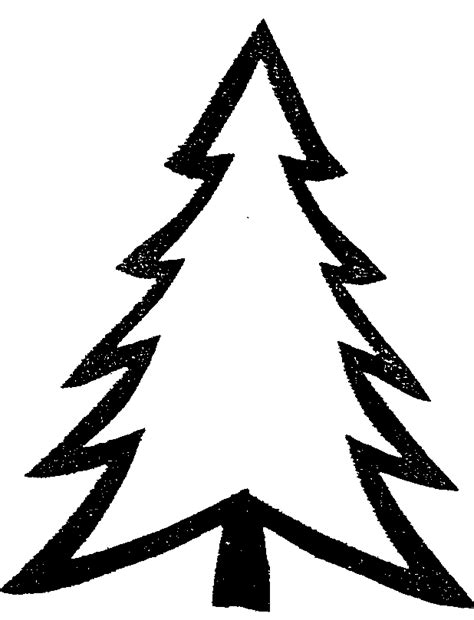 FOK.nl / Nieuws / Drie miljoen kerstbomen over de toonbank