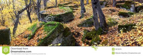 Stones In Autumn Forest Stock Photo Image Of Idyllic