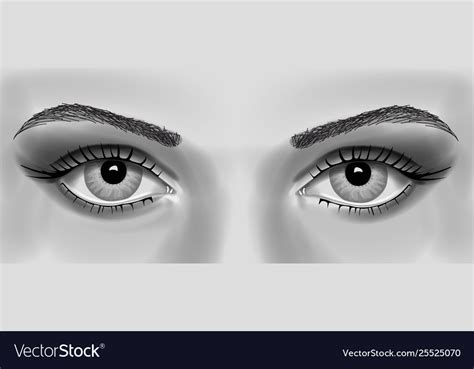 womens eye realistic royalty free vector image