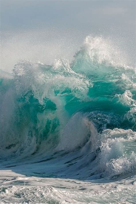 Big Wild Ocean Wave Photo Waves Ocean Waves Ocean
