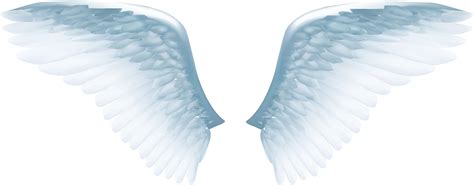 Angel Wings Svg Transparent