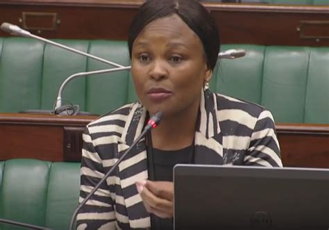 Who Is South Africas New Public Protector And Whats On Her Plate