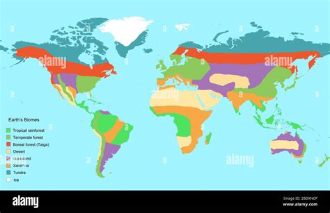 Informace Udělal To Částečně World Map With Biomes Labeled Souložit