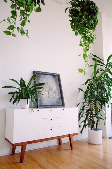An overdose of green plants in a room can never go wrong as long as you know where and how to place them. Feng Shui plants for harmony and positive energy in the ...