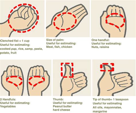Using Your Hand As A Guide To Estimate Portion Size Download