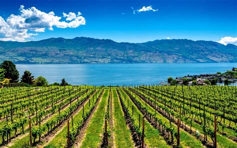 Kelowna — Tourist Guide Planet Of Hotels