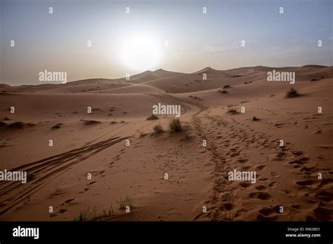 Camel Track Hi Res Stock Photography And Images Alamy