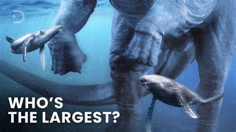 Largest Creatures To Ever Exist On Earth Size Comparison