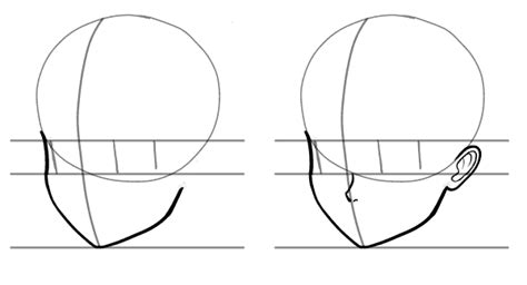 How To Draw A Anime Head Shape