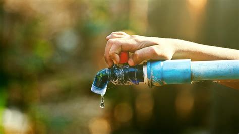 Economia De água Na Prática 10 Dicas Para Começar Hoje Mesmo