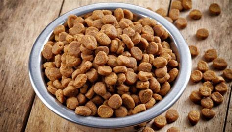 Hill's science diet dog food overview hill's science diet dog food is made especially for dogs with sensitive stomachs that have a wide range of digestive or intestinal problems. 10 Best Dog Foods For Sensitive Stomachs (2020 Guide)