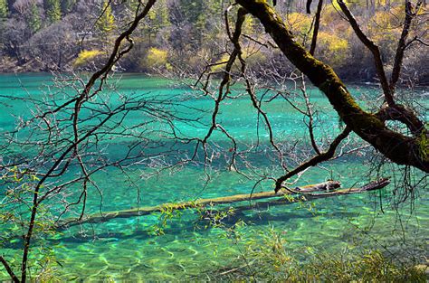 110 Long Lake Jiuzhaigou Stock Photos Pictures And Royalty Free Images