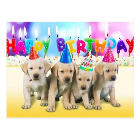 Cute Happy Birthday Puppies Postcard