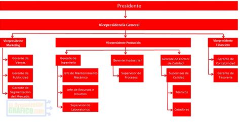 Organigrama De Coca Cola Funciones Y Ejemplos Hot Sex Picture