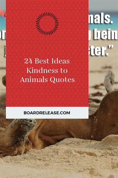 Animal quotes to inspire and teach. 24 Best Ideas Kindness to Animals Quotes | Kindness quotes inspirational, Kindness quotes bible ...