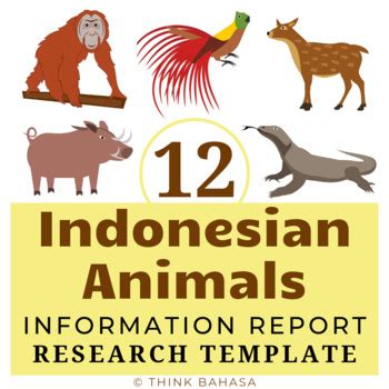 This sight is not uncommon in indonesian zoos, though experts say it's cruel. Indonesian Animals Unit: Research Templates (12 animals ...