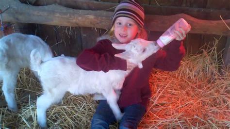 The bottle in itself, e.g. Bottle feeding ADORABLE baby goats - YouTube