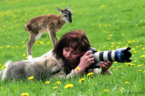 20 Pictures Showing That Nature Photographers Have The Best Jobs Ever