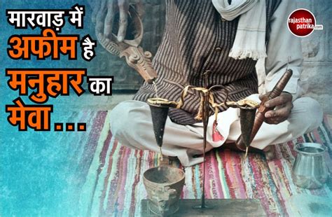 Video Afeem Farming In Rajasthan Opium Drug Facts You Should Know