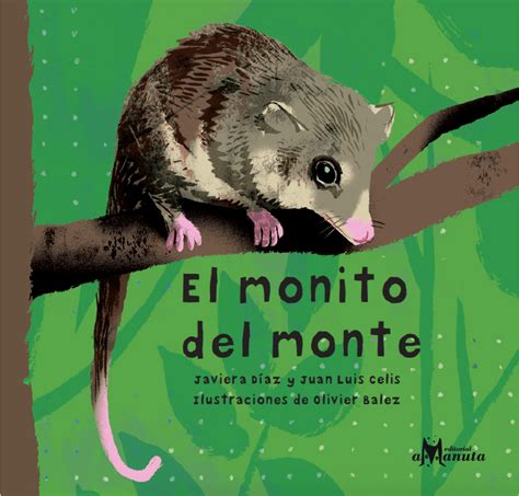Species Spotlight Monito Del Monte — The Global Alliance For Animals