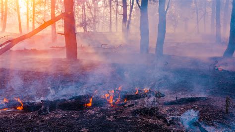 Mackenzie Basin Forest Fire Threatens Homes Village Evacuated