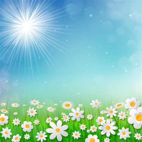 Download Spring Background With White Flowers In The Grass For Free In