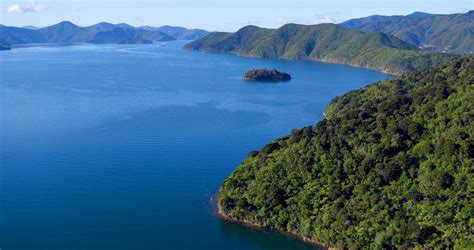 Queen Charlotte Sound Cruise Guide
