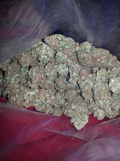 Check spelling or type a new query. Quarter pound of some beautiful Bubba Kush. : trees