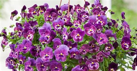Bằng cách nhấp vào cung hoàng đạo của bạn, bạn có thể xem hồ sơ cung hoàng đạo hoàn chỉnh của mình, nguyên mỗi cung hoàng đạo là một khái niệm khá sâu sắc. Tử vi hàng ngày - Thứ Hai 14/10/2019 của 12 cung hoàng đạo