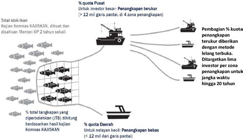 vo777 ikan