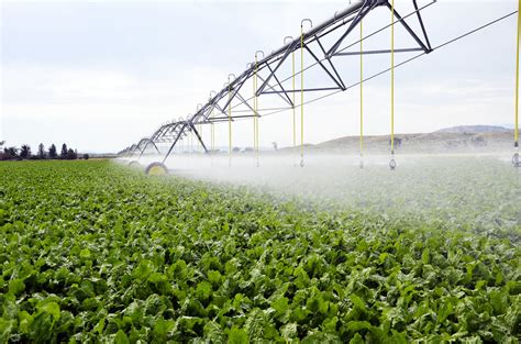Farm Irrigation Alachua County Flickr