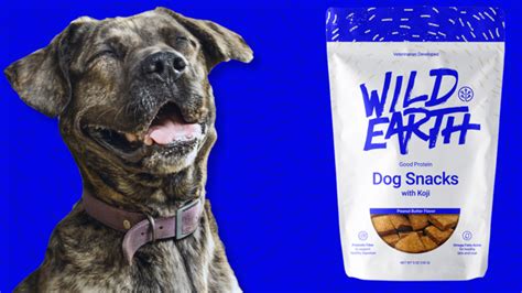 This company is based in amarillo, texas and they have been producing pet foods since 1988. Best Vegan Dog Food? Wild Earth Has 2,000 Positive Reviews ...