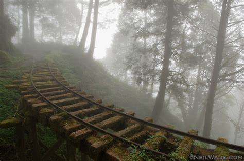 Abandoned Train Tracks Pics