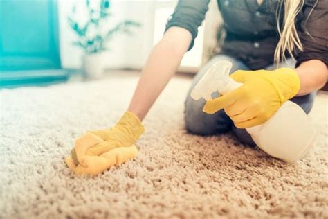 Wir versprechen ihnen der teppich wird abgeholt teppich wird gereinigt. Teppich selber reinigen: die besten Hausmittel - HeimHelden®