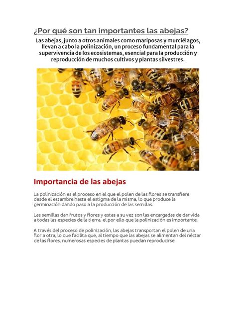 por qué son tan importantes las abejas pdf abejas colmena