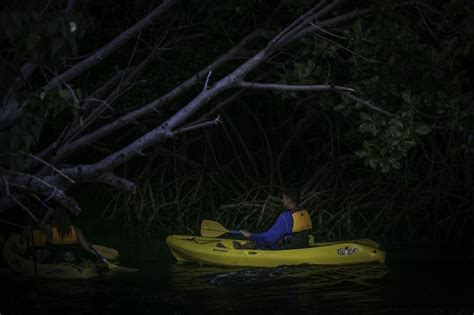 Bioluminescent Bay Night Kayaking Tour W Pickup From San Juan San Juan Project Expedition